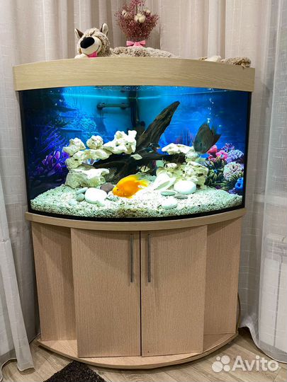 Аквариум с тумбой