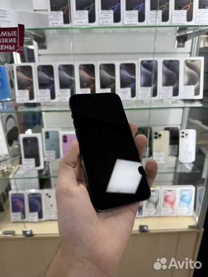 iPhone 12 Pro Max, 256 ГБ