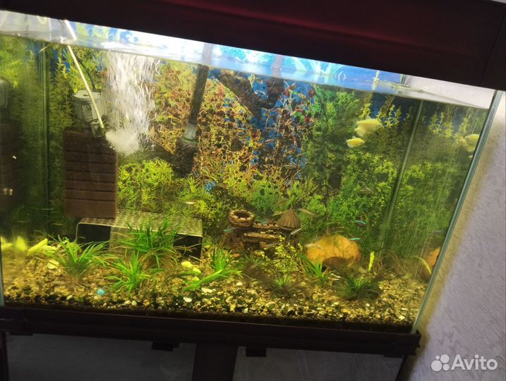 Аквариум с тумбой 156 литров