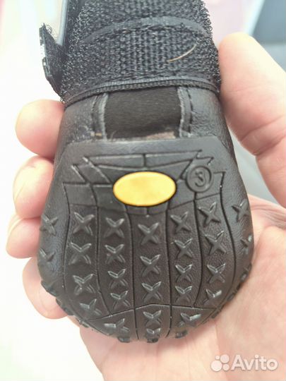 Ботинки для собак