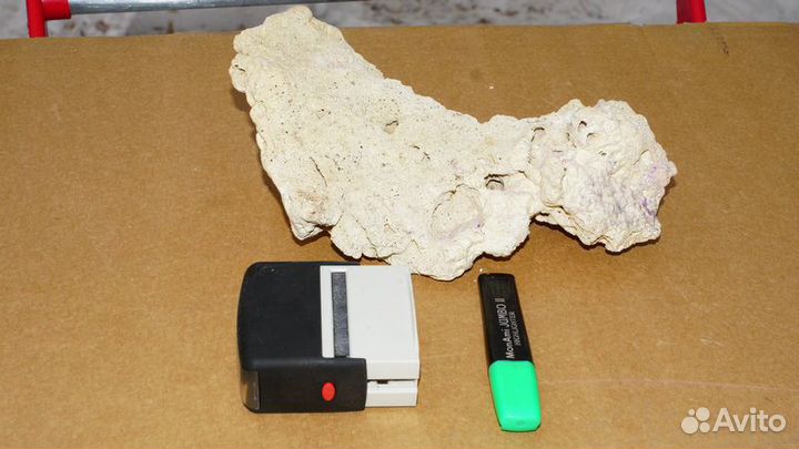 Кораллы в аквариум