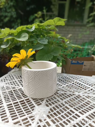 Декор из гипса