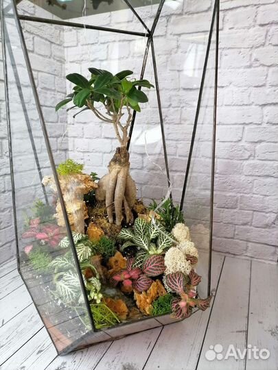 Флорариум Кристалл с бонсаем и водопадом