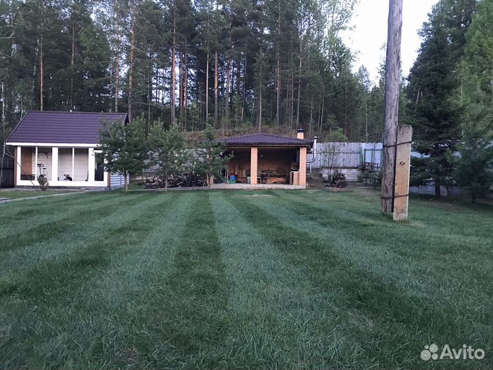 Профессиональный посев газона и уход