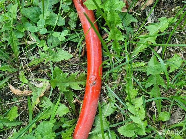 Кольца баскетбольное спортивные