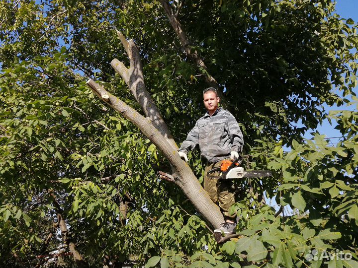 Спил деревьев, Покос травы