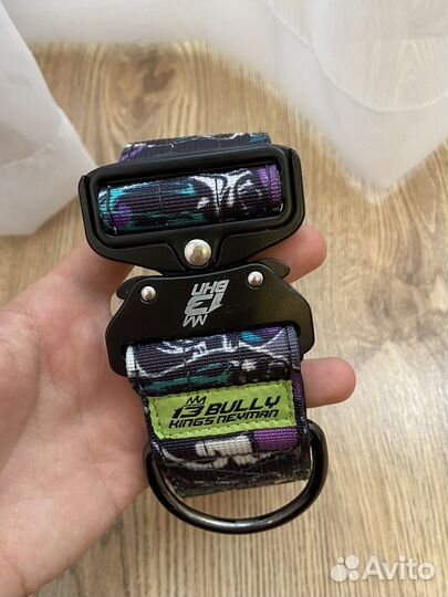 Ошейник для собак, шлейка, поводок