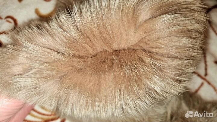 Воротник + Манжеты Мех Енота натуральный