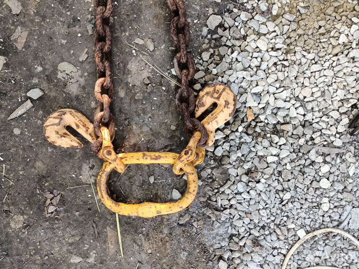 Паук цепной