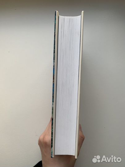 Маленький, большой, или Парламент фейриДжон Краули