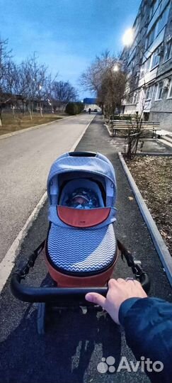 Коляска anex sport 3 в 1