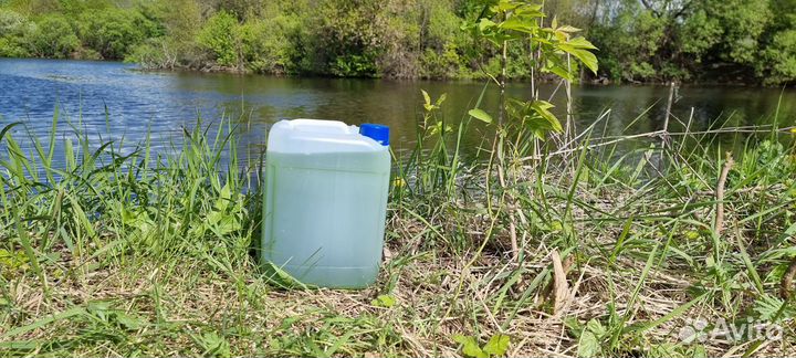 Хлорелла для очистки водоемов