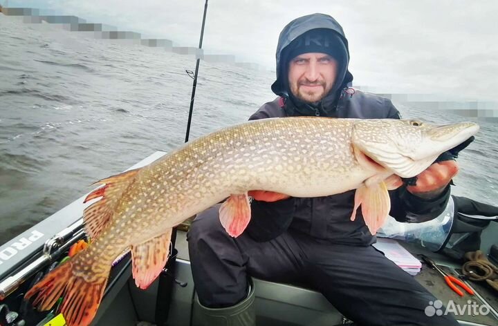 Рыбалка с гидом. Дельта Северной Двины