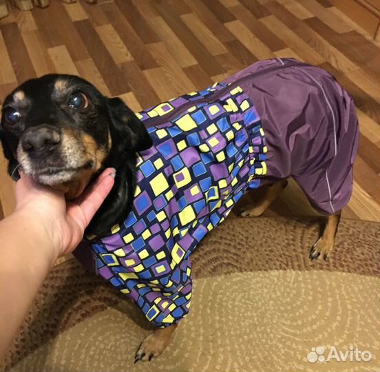 Комбинезон дождевик для собак средних пород