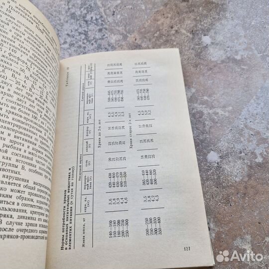 Интенсификация производства свинины в специализиро