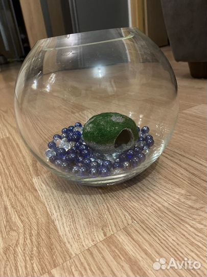 Аквариум 2,5 л