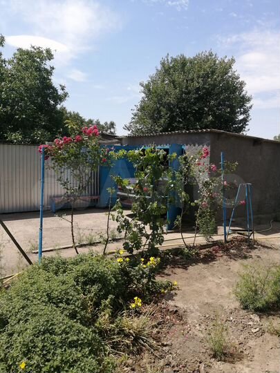 Коттедж 99,6 м² на участке 12 га