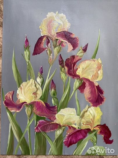 Картина маслом. Крымские ирисы