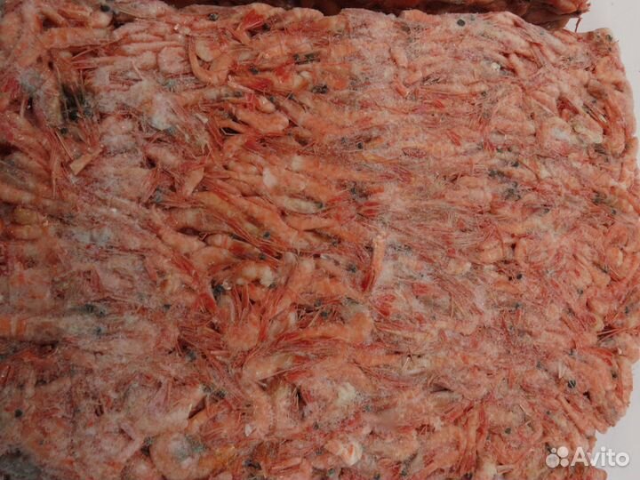 Креветка Северная с/м 230+