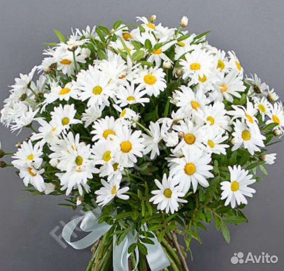 Ромашка (букет, композиция из садовых цветов)