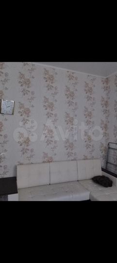 2-к. квартира, 26 м², 1/2 эт.