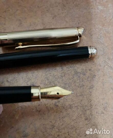 Перьевая ручка flavio ferrucci