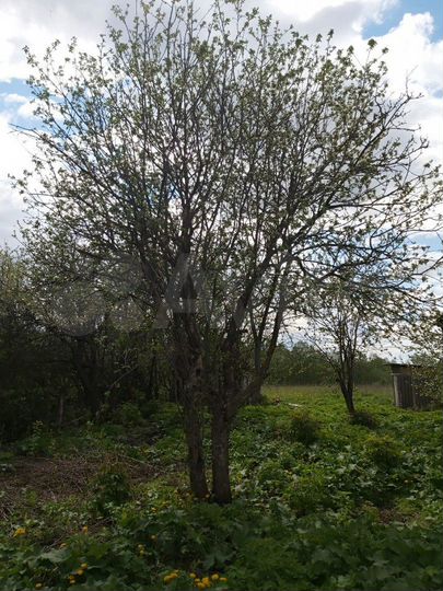 Дом 32 м² на участке 45 сот.