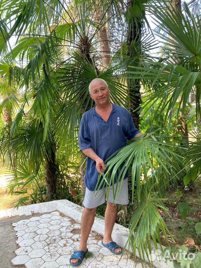 Установщик дверей и лестниц