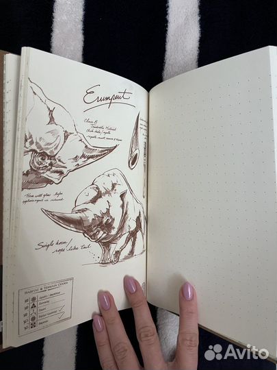 Блокнот Ньюта Саламандера