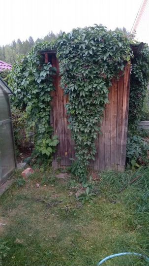 Дача 48 м² на участке 8 сот.