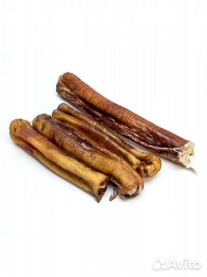 Лакомства для кошек и собак