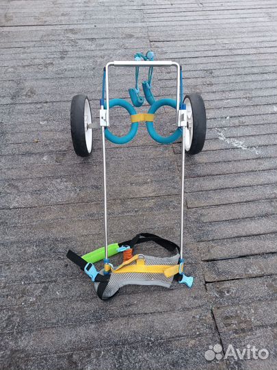 Инвалидная коляска для собак