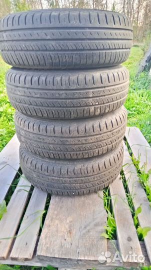 Matador MP 16 Stella 2 175/50 R13