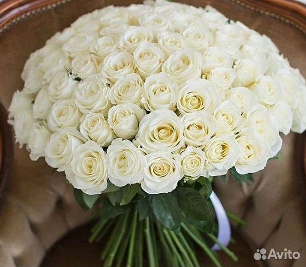 Розы Букеты Цветы Розы 31 101 151 201 Доставка