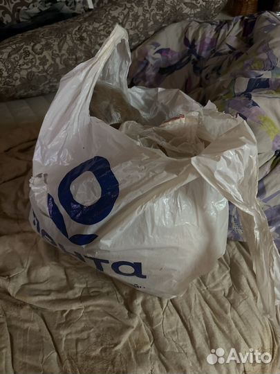 Собачья шерсть (сенбернар )