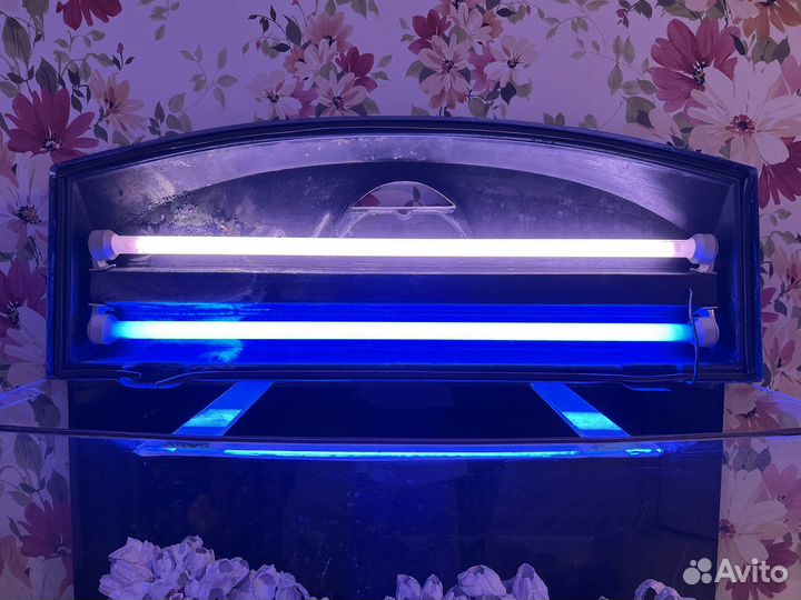 Аквариум 150 литров