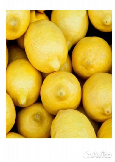 Yodeyma leau berlue Вода парфюмерная 100 мл