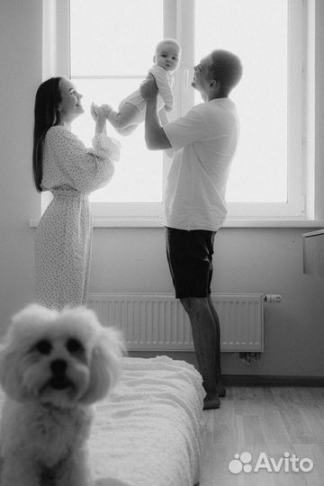 Семейный фотограф