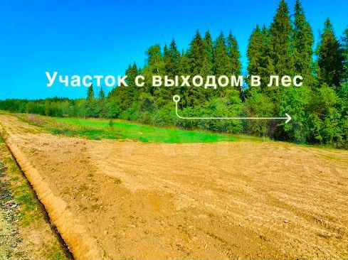 Участок 6,1 сот. (ИЖС)