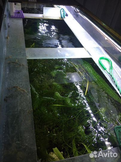 Аквариум 200 литров с тумбой