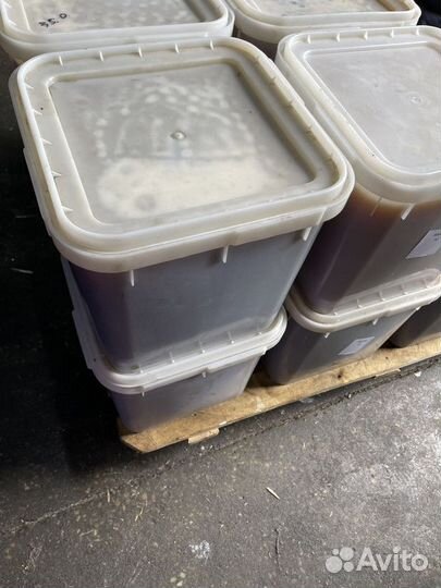 Мёд свежий гречишный опт