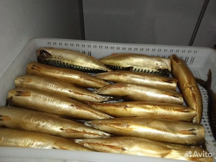 Рыба вяленая, х.копчения, св.мороженая