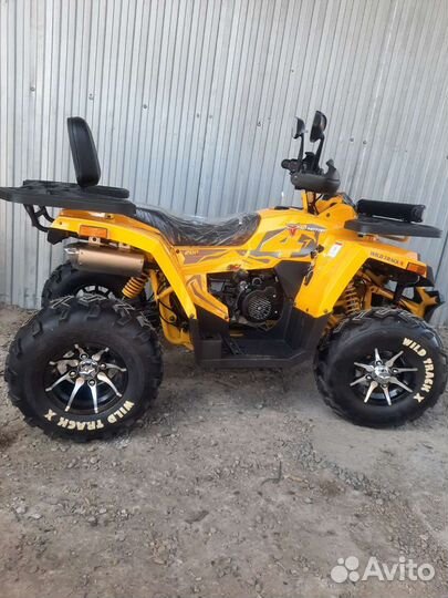 Wild 200 X PRO, новый