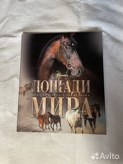 Книга о конном спорте