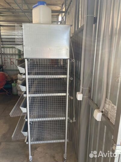 Клетка для перепелок