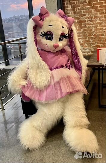 Аниматор зайка