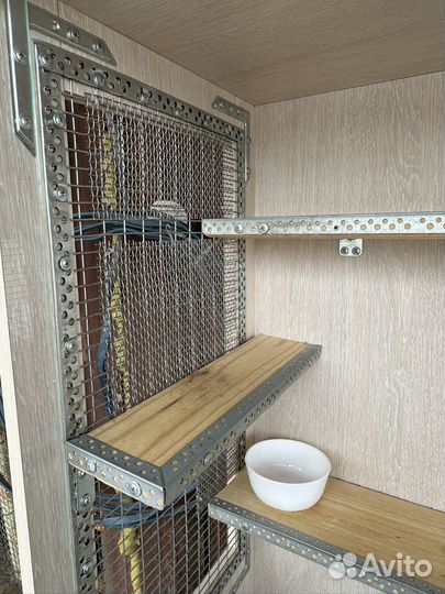 Витрина б/у и шиншиллы