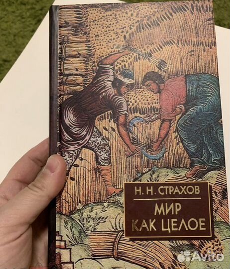 Страхов Н.Н. Мир как целое. 2007 новая