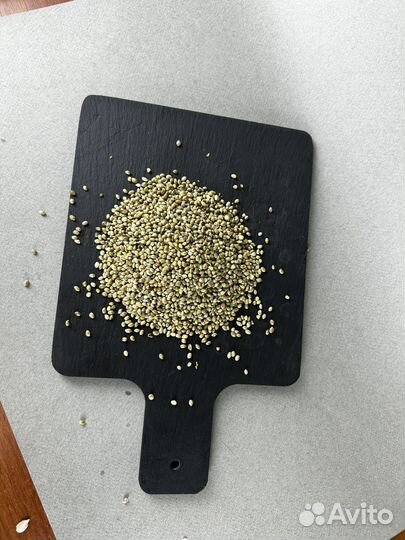 Семена конопли