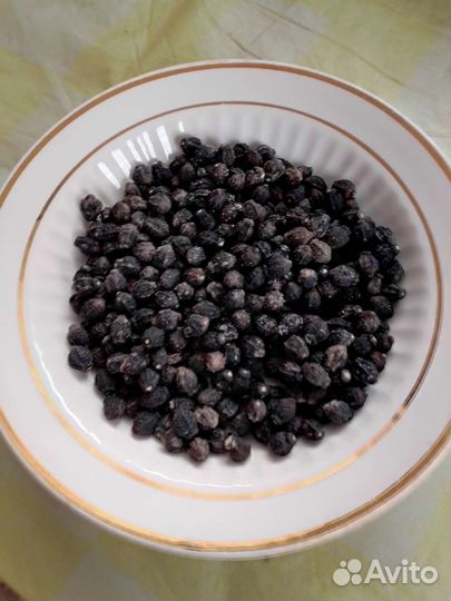 Семена цветов,Раняя Зорька